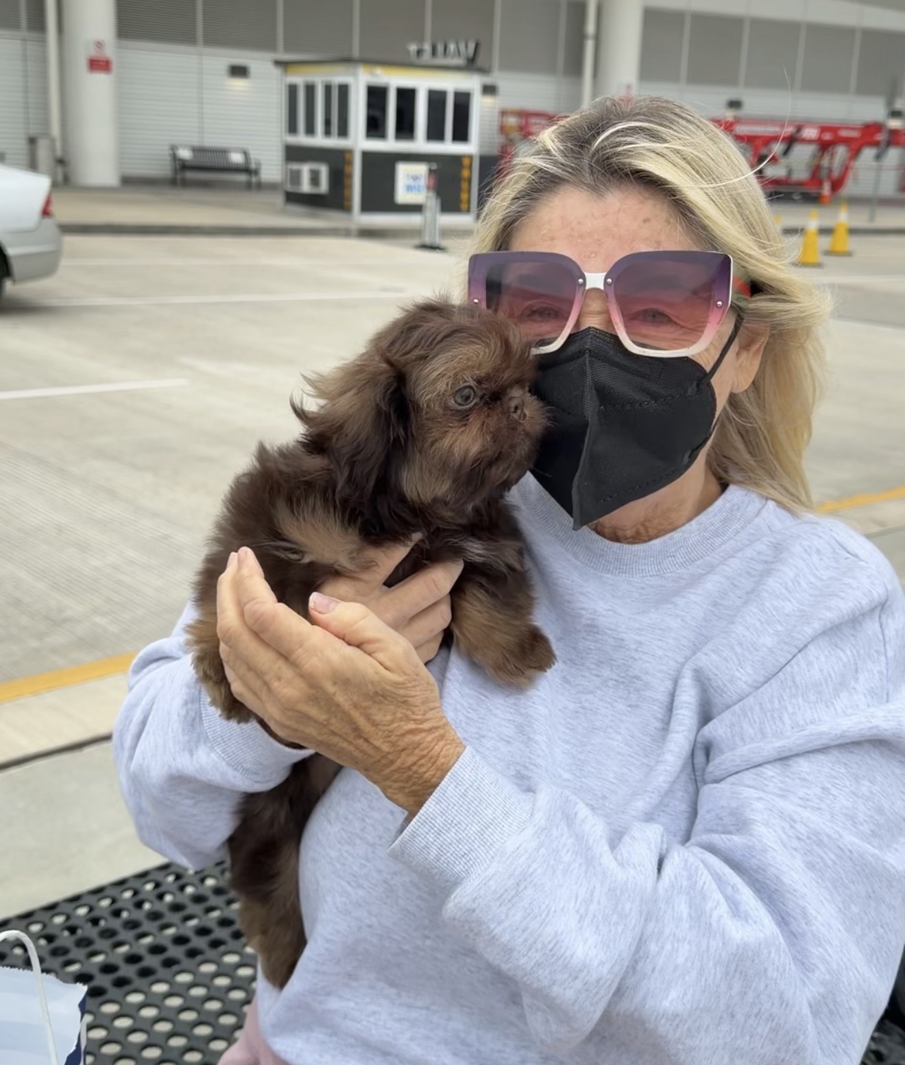 Pet nanny holding a puppy at the airport terminal, ready for travel